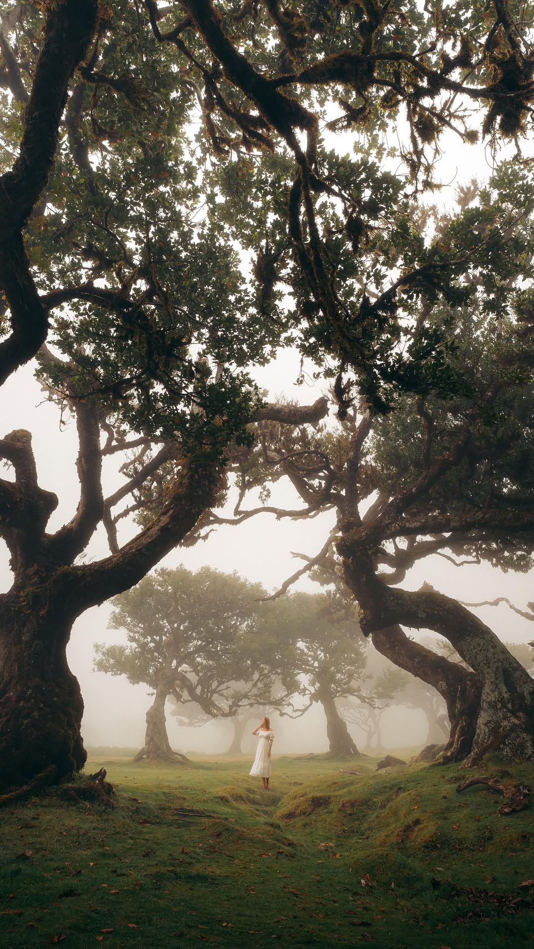 Model in Fanal Forest