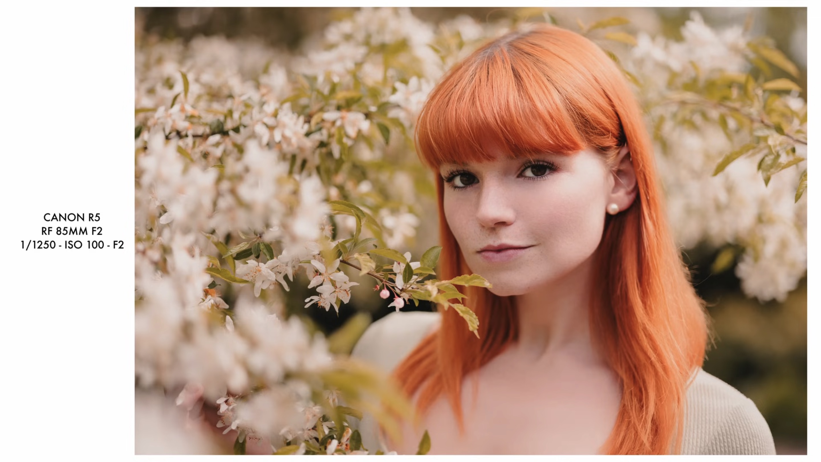 85mm CleanShot2025 06 19at23.57.59@2x