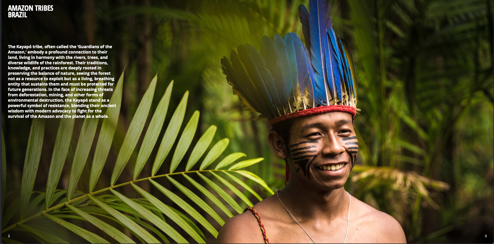 NewPhotostoTest CleanShot2025 08 25at19.03.16@2x